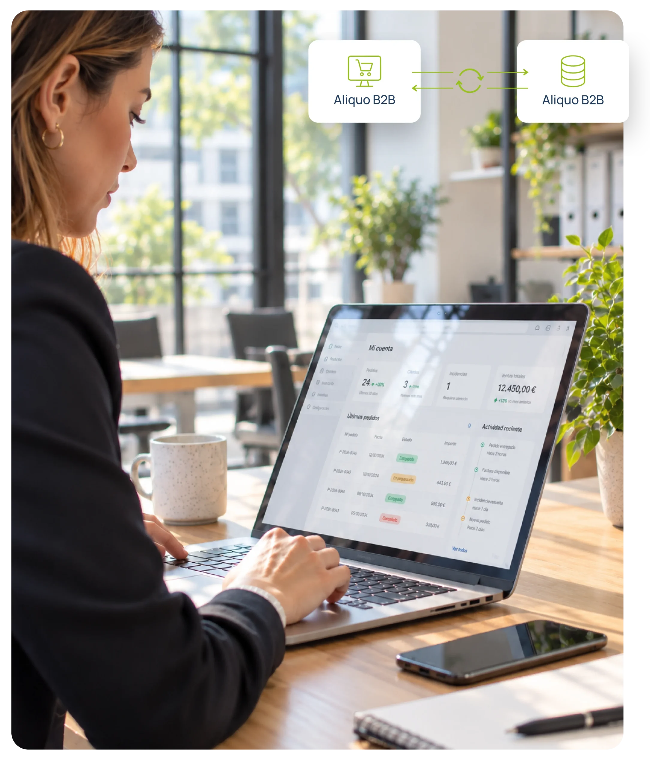 b2b-aliquo-erp B2B Aliquo ERP