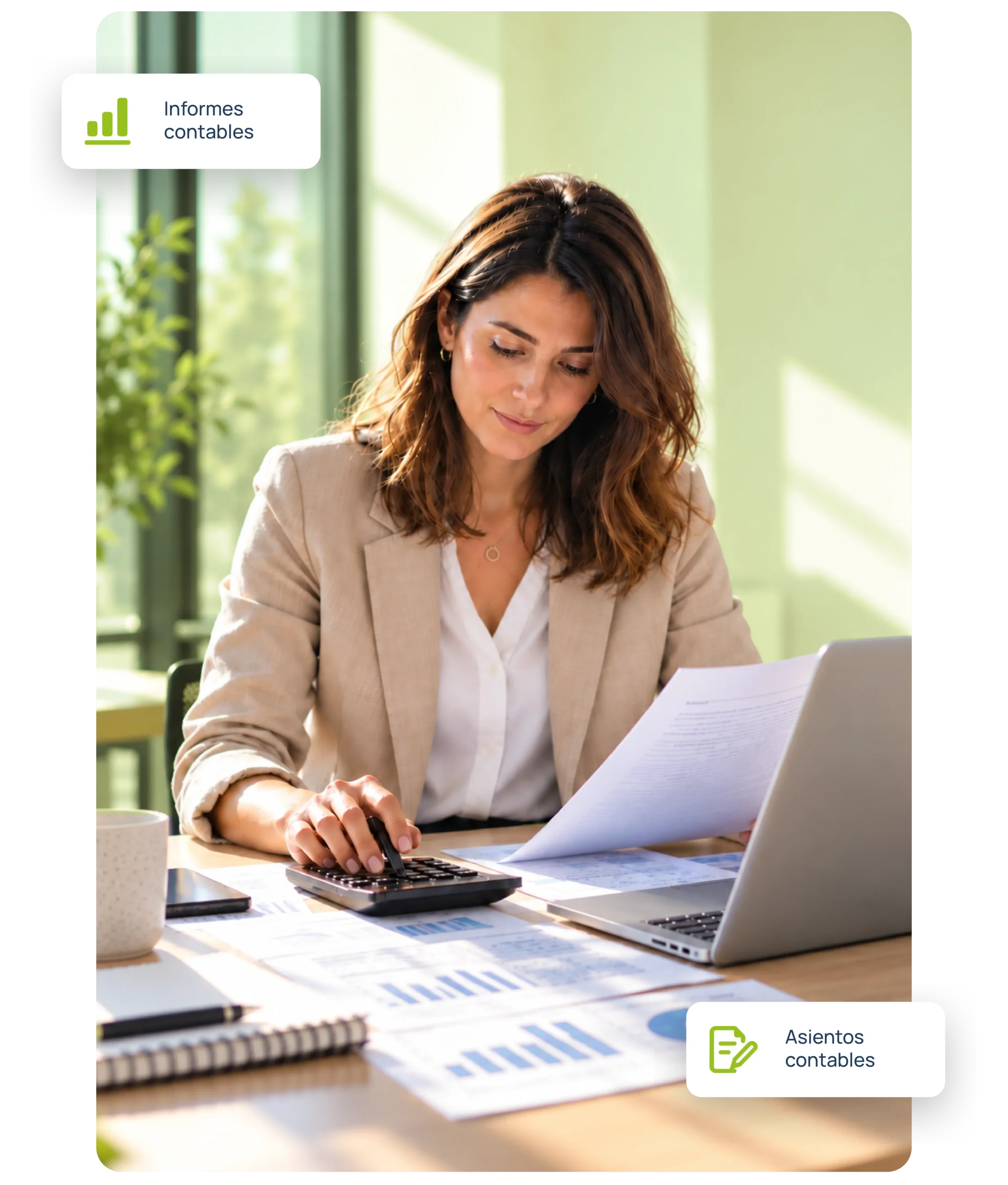 contabilidad-aliquo-erp Contabilidad. Aliquo ERP